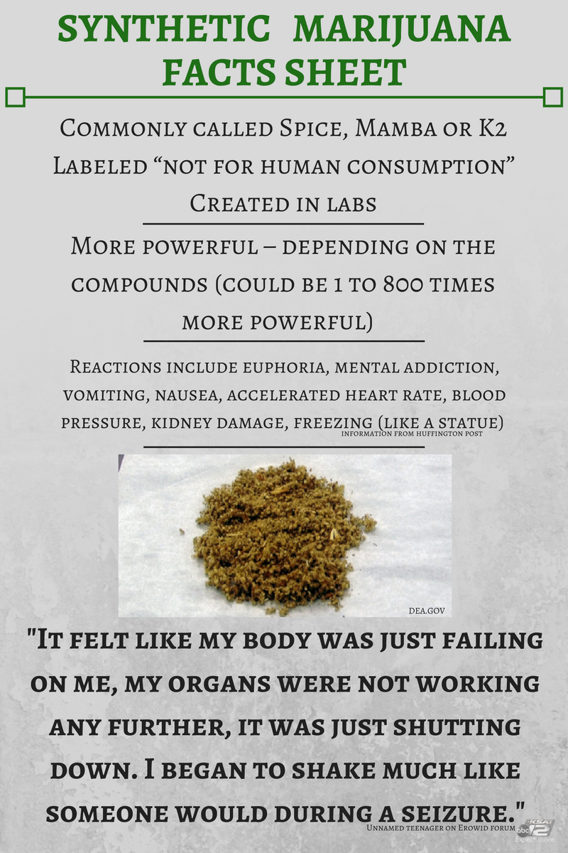 Synthetic marijuana facts sheet